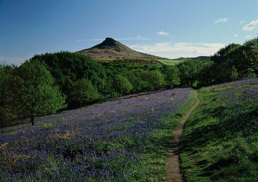 Stride in the footsteps of Captain Cook and climb your first ‘mountain’ at Roseberry Topping © Mike Kipling