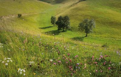 Thixendale Dale © Paul Moon