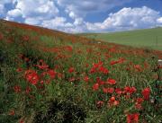 Fridaythorpe © Mike Kipling, Natural England