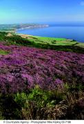 Ravenscar © Mike Kipling, Natural England