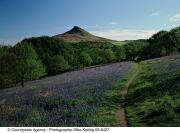 Roseberry Topping © Mike Kipling, Natural England