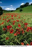 Thixendale © Mike Kipling, Natural England